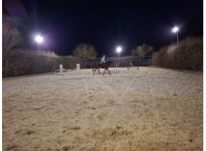 Lauser in Aktion Reitplatz bei Nacht